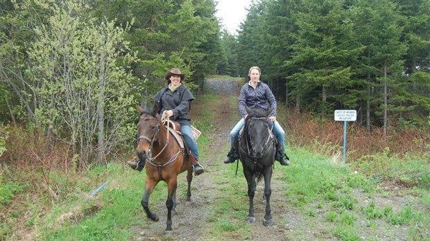 85 km de sentiers de randonnées pour les cavaliers de la région