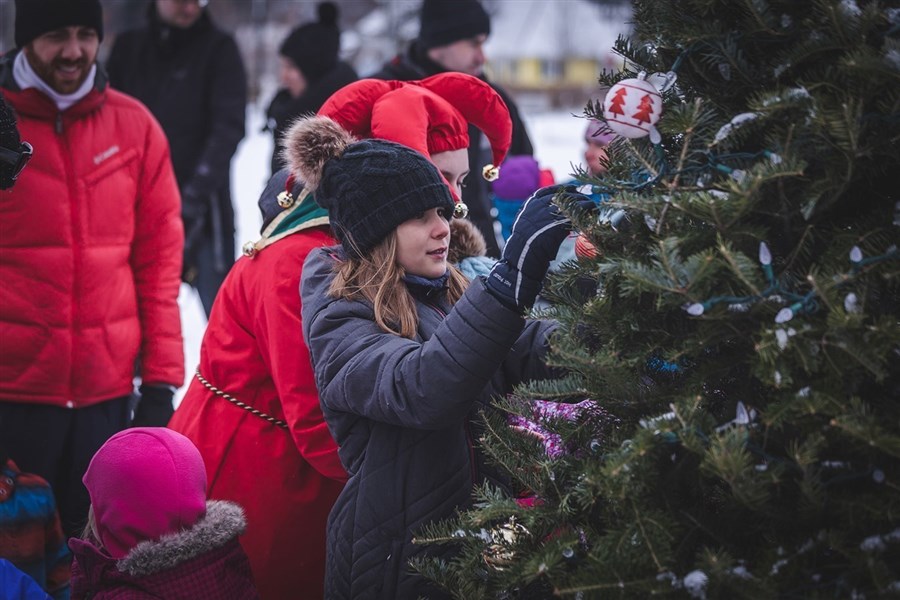 Collecte des arbres de Noël à Rivière-du-Loup