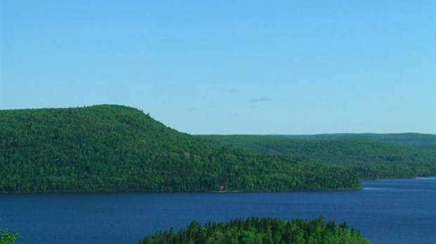 La lutte aux algues bleu-vert reprend de plus belle