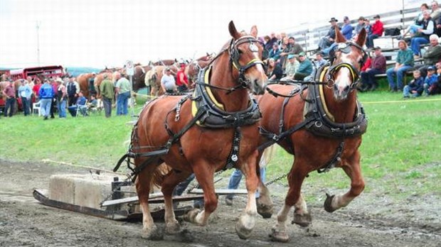 La chance au rendez-vous de l’Expo-Témis