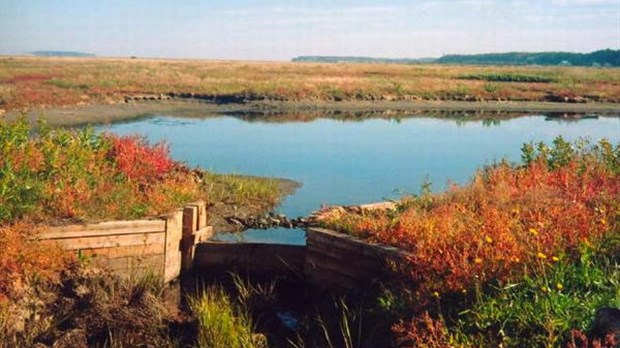 Paul Crête insiste pour que la réserve nationale de la faune de la baie de l'Isle-Verterecoive les fonds nécessaires