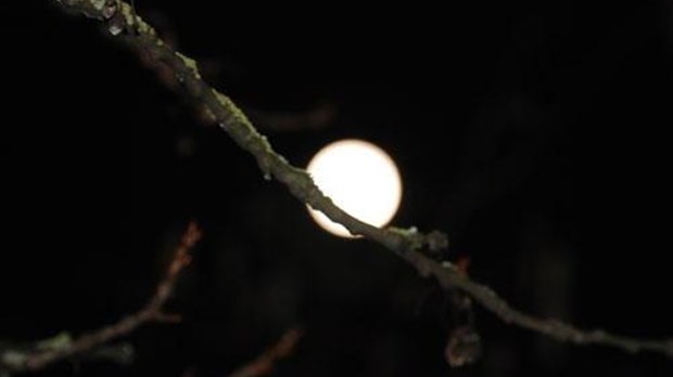Randonnée pédestre au clair de lune