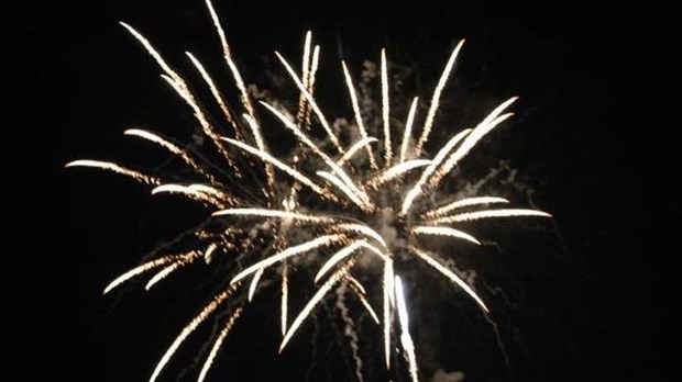 Bilan satisfaisant pour Pleins feux sur la Pointe