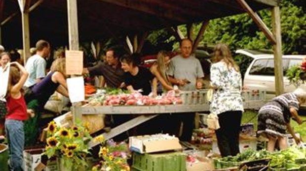 Marché public au quai de Trois-Pistoles