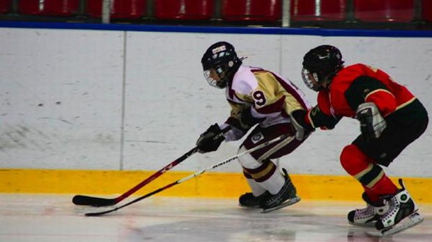 Les hockeyeurs du Promutuel AA sautent sur la glace