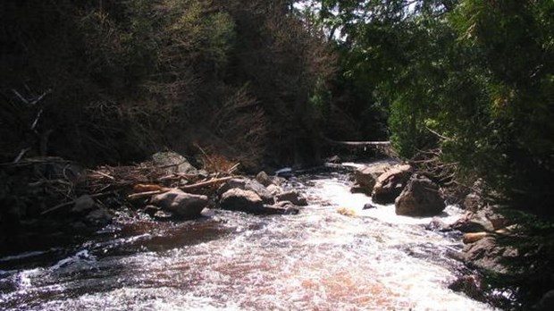Marchez dans le Parc des Sept-Chutes