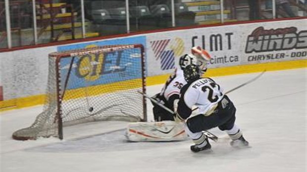 2 victoires pour les Albatros