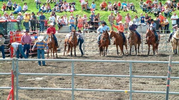 Revue de l'année 2008 : Les cowboys à l’honneur!