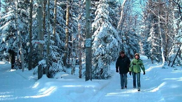 Visitez les sentiers du Camping municipal de Trois-Pistoles