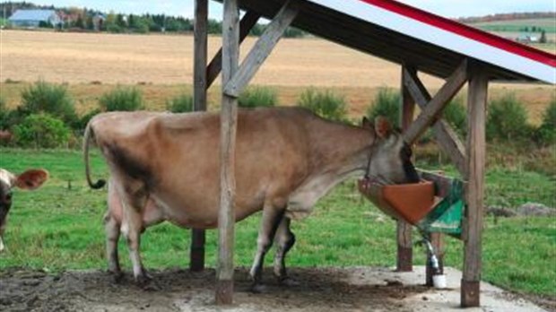 550 millions pour assurer la transition à l’agriculture de l’avenir