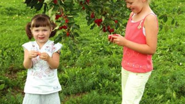 Le Jeune Verger poursuit ses activités
