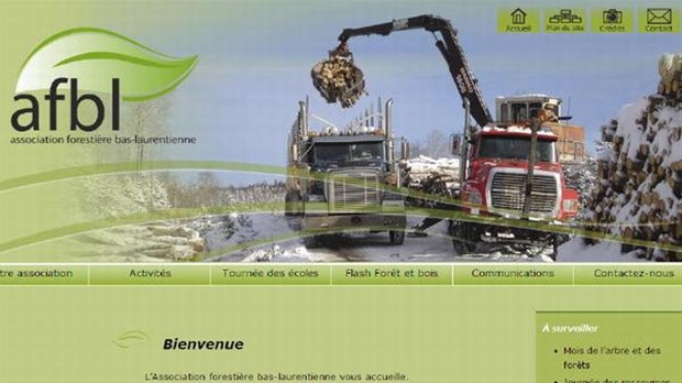 L’Association forestière bas-laurentienne lance son nouveau site Web