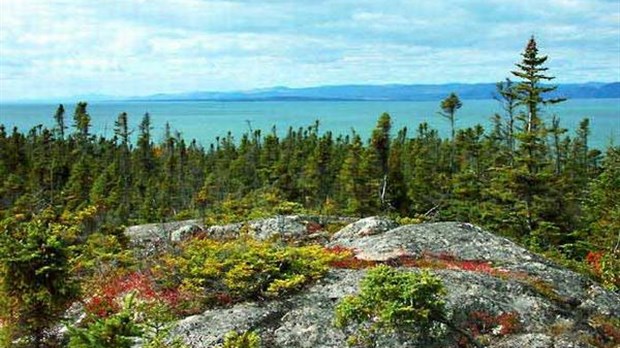 Promenade sur la montagne pour les nouveaux arrivants