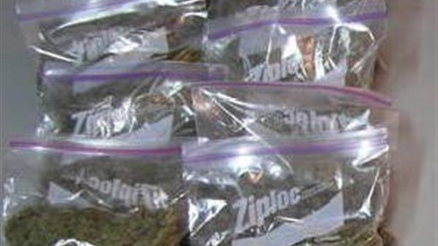 Saisie de cannabis à Saint-Honoré