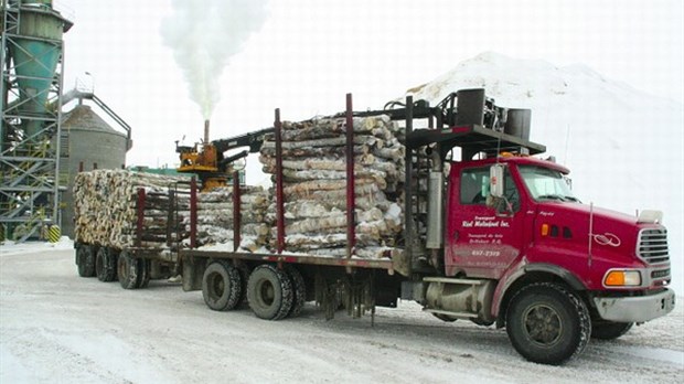 « Un nouveau régime forestier pour les Québécois et les travailleurs » - Nathalie Normandeau
