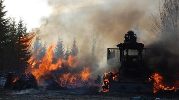 Danger d'incendie élevé dans les forêts de la région