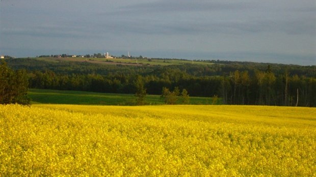 La photo gagnante du concours de Saint-Clément