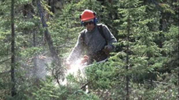 Une 1ère convention collective pour la Corporation agro-forestière Transcontinental inc.