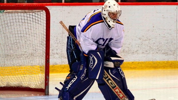 Hockey senior: un nouveau circuit dans l’Est-du-Québec?