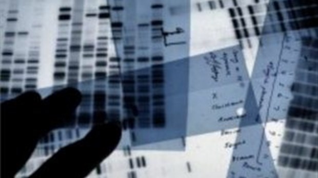 Tests d'ADN: le côté sombre de la force