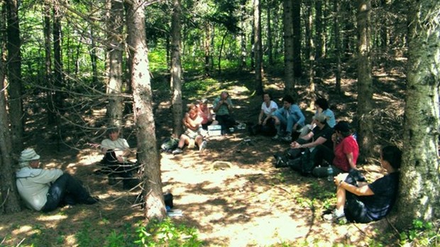 Exploration en forêt et initiation à la déshydratation