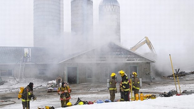 Une ferme de Saint-Alexandre est la proie des flammes