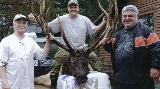 Un wapiti 12 pointes et de 1 250 livres