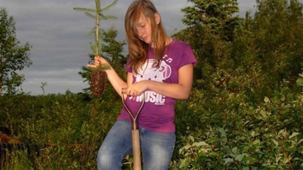 Des plants d'arbres pour le Mois de l'arbre et des forêts