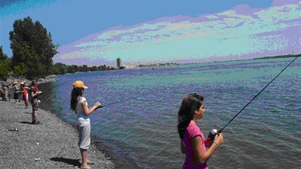 Collecte de données sur la truite arc-en-ciel: les pêcheurs invités à collaborer