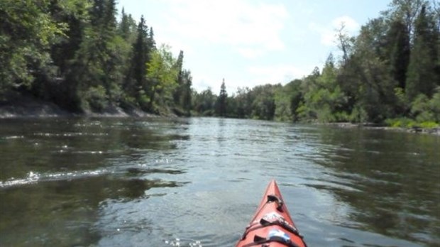 Pagayez sur la rivière Cabano