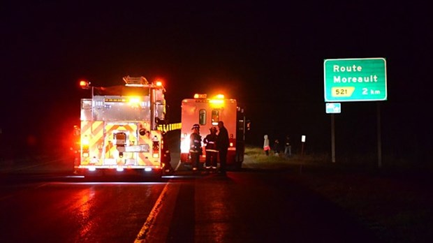 Un orignal frappé par 2 voitures sur l'autoroute 20 à Cacouna