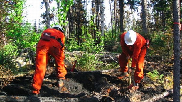 1 250 travailleurs du secteur forestier victimes d'un accident chaque année