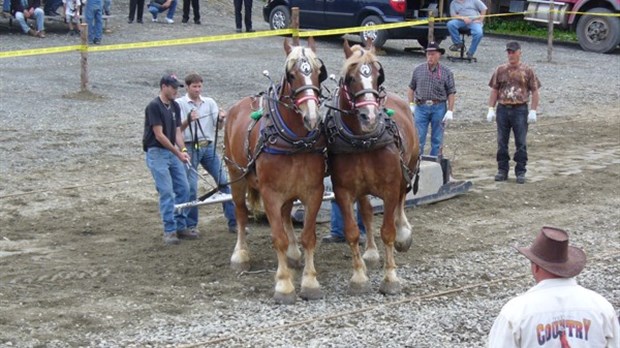 Succès pour le Festival western de Dégelis