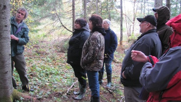 Randonnée exploratoire en forêt à Sainte-Rita
