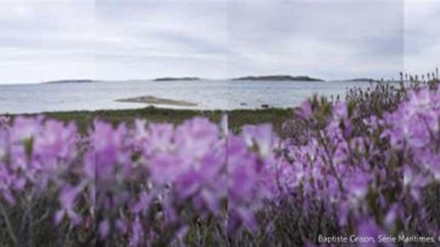 Rencontre photographique à Kamouraska