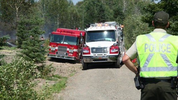 Les forêts du Bas-Saint-Laurent se portent bien