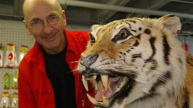 Tigre de Sibérie abattu à Saint-Onésime