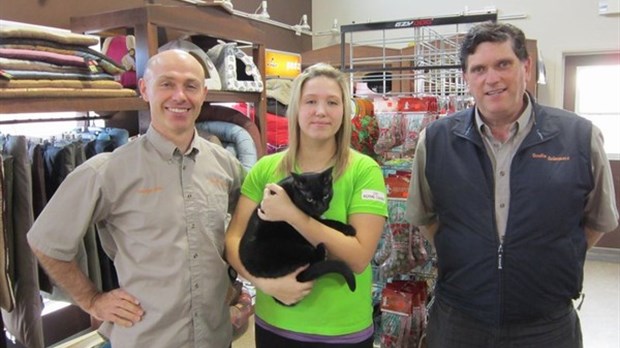 Bouffe Animaux, c’est aussi des accessoires et soins spécialisés