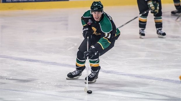 Début du vote en ligne pour la partie d'étoiles de la LNAH
