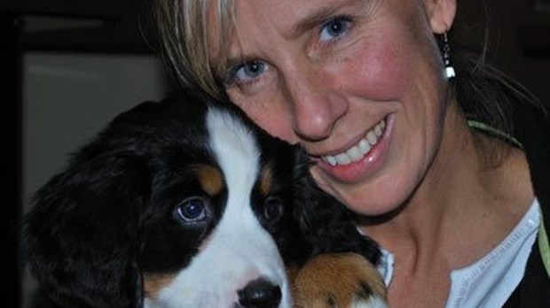 Familles d’accueil recherchées pour des chiens MIRA
