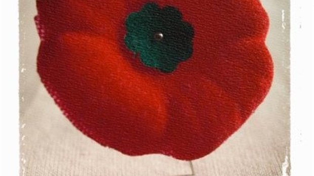 Jour du Souvenir: le coquelicot et l’Armistice