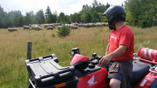 Prévente des cartes de saison pour VTT