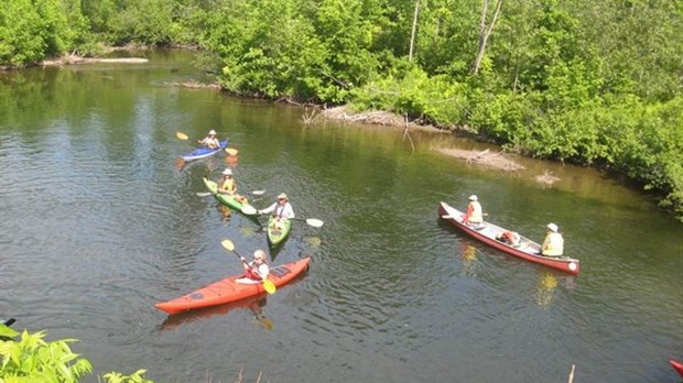 Pagayez sur la rivière Cabano