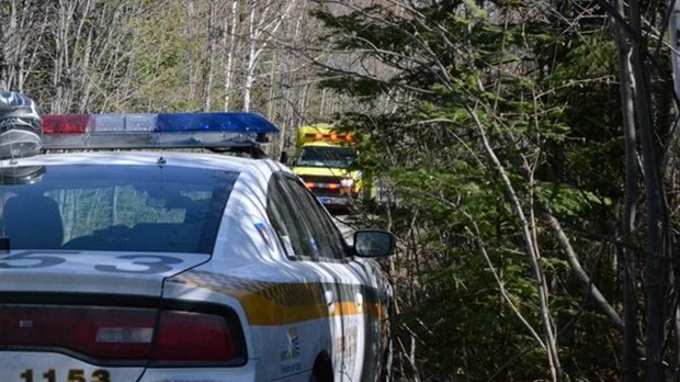 Un homme de 84 ans passe la nuit en forêt