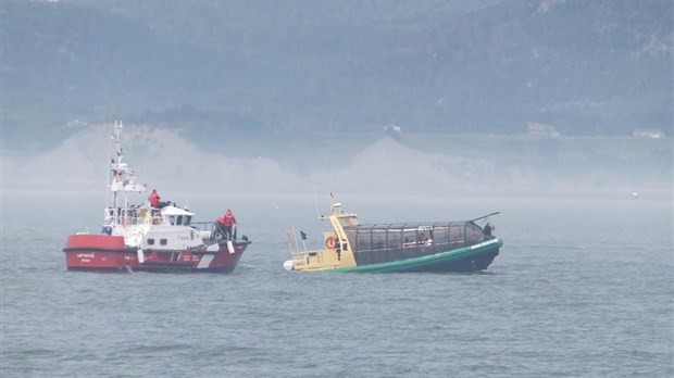 Une croisière aux baleines qui tourne mal