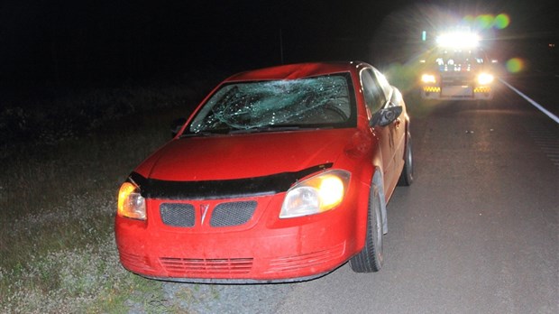 Collision avec un jeune orignal sur l'autoroute 20