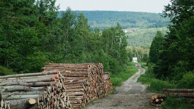 Nouveau plan de protection et de mise en valeur des forêts privées