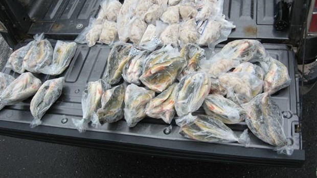 2 pêcheurs arrêtés pour braconnage