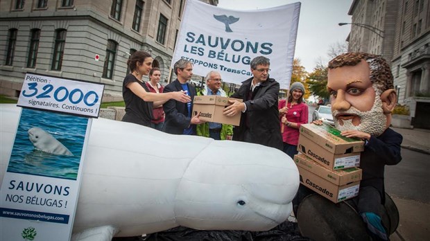 Cacouna: les organismes environnementaux interpellent le premier ministre Couillard