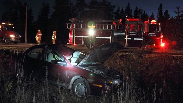 Collision avec un orignal à Saint-Alexandre